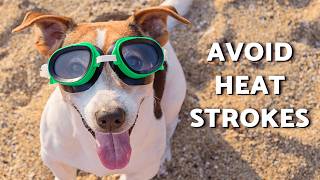The Ultimate SUMMER SURVIVAL Guide for PETS 🐩🏖️  (How To Keep Your Pets Cool?)