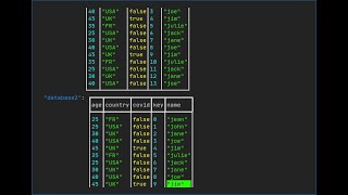 Download the video "json-tui: Concept turn array of object into tables"