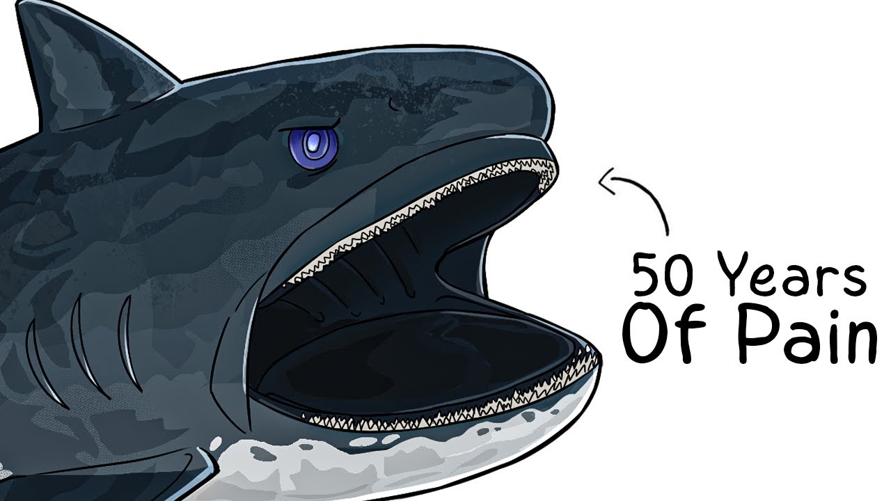Why it Sucks To Be Born As a Megamouth Shark