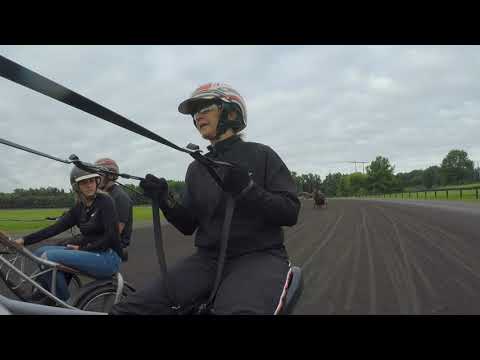 2021 Hambletonian Contenders -- Venerate