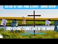 Audiobook Everything comes out in the wash 2023