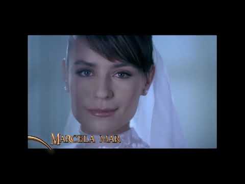 "Pura sangre". Entrada oficial