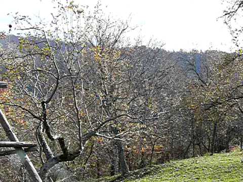 Bratesti Arges 2007 11 02 Pe Doblea