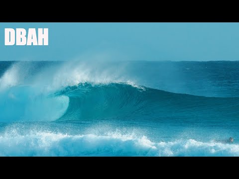 Average Joes Go Pro - Dbah Saturday 21 January 2023