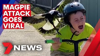 Australian boys magpie attack caught on camera  7N