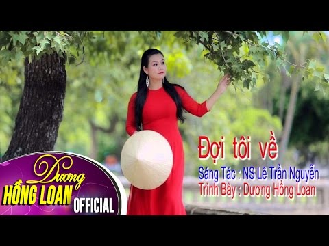 Đợi tôi về - Dương Hồng Loan