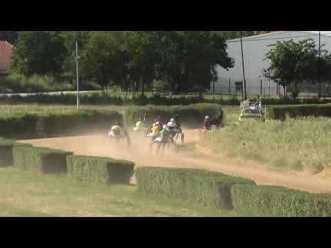 Trka "Srđan Petrović-Čibi" 16.06.2019 Jessie - Dejan Petrović