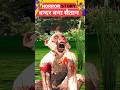 बन्दर बना सैतान Sher Ki Kahani Jadui Kahani Hindi Kahani Hindi Stories Sho