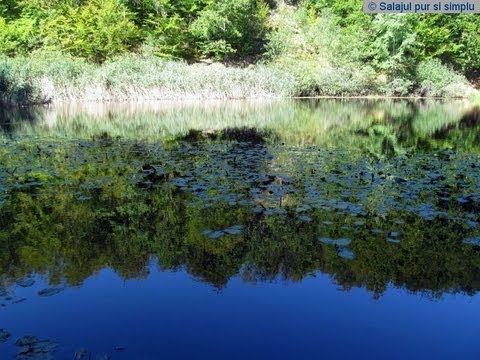 Testioara - Taul groazei. Pietrele scrise. Colosseumul