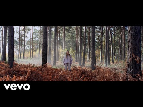 Roo Panes - Warrior (Official Video)