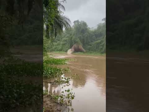 ออกมาก็วิ่ง