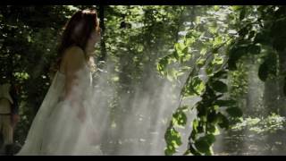 Nemesea - Dance In The Fire video