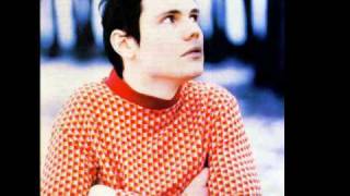 billy corgan - firewall