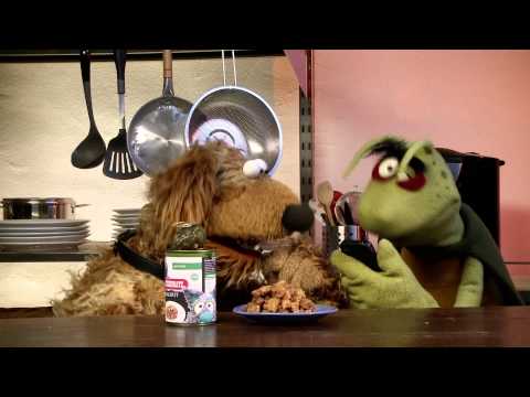 Wiwaldi testet Katzenfutter