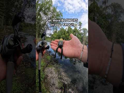 get more TOPWATER BLOWUPS on FROGS #bassfishing #shorts