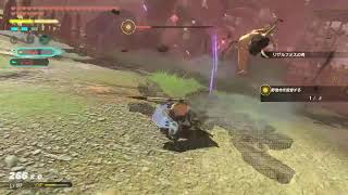 【スイッチ２】ゼルダ無双封印戦記【のんびり】