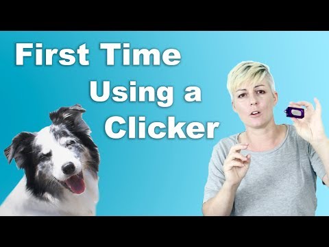 What is Clicker Training