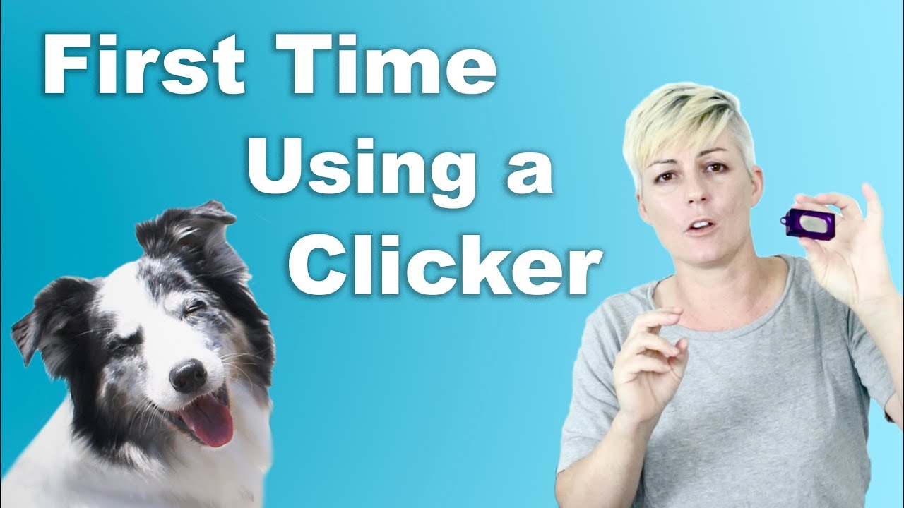 YouTube video preview