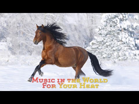 The Most Beautiful Music in the World For Your Heat - Best of 50's 60's 70's Instrumental Hits