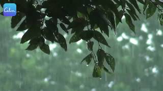 Calm — Meditation | The 7 Days of Sleep | Day 1