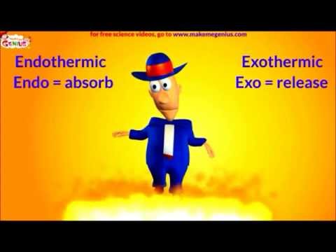 Exothermic and Endothermic Reactions - Video for kids