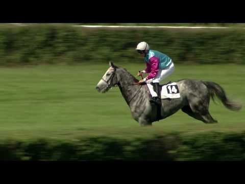 5. dostih - Červnová mostecká míle - dostihy Most 12. 6. 2020