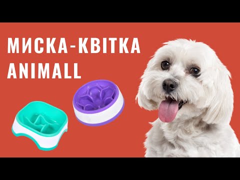 Миска-цветок AnimAll для медленного кормления, круглая, 300 мл, оранжево-белая video