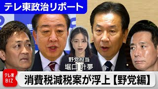 トランプ関税で消費税減税が浮上【野党編】立憲に亀裂？減税派ＶＳ慎重派【テレ東政治リポート『堀口叶夢の野党通信』】