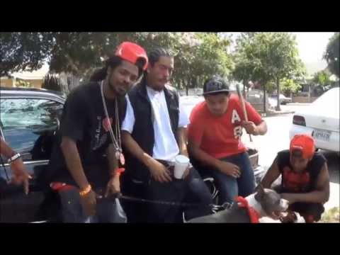 GUCCI 100 PROOF -  Fake Niggaz  [OFFICAL VIDEO]