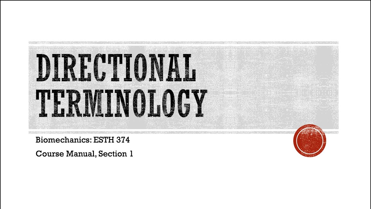 Directional Terminology