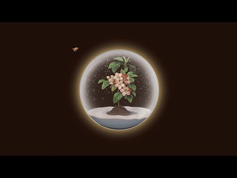 La Flor De La Manzana - Nacho Vegas