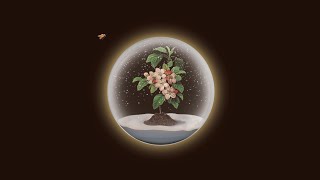 La Flor De La Manzana Lyrics  Translation