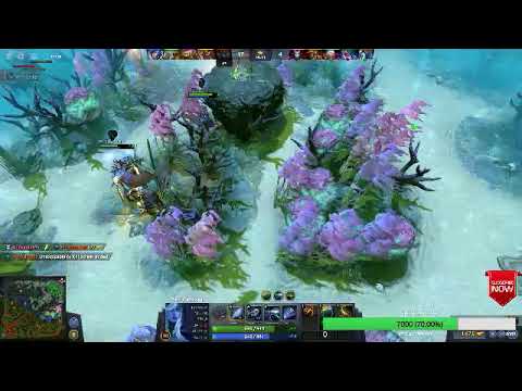 noob team parahh!!! dota 2 pro dota 2 miracle streaming februari invoker virtus pro