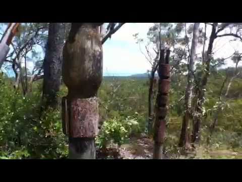 My Island Home - Ron Poantumilui