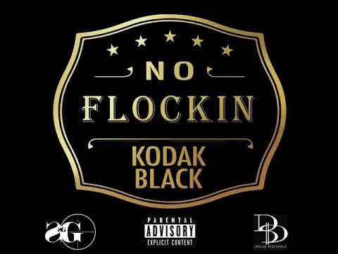 Kodak Black - "NO FLOCKIN" (Official Audio)