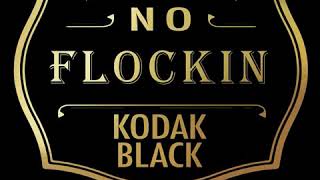 Kodak Black - &quot;NO FLOCKIN&quot; (Official Audio)