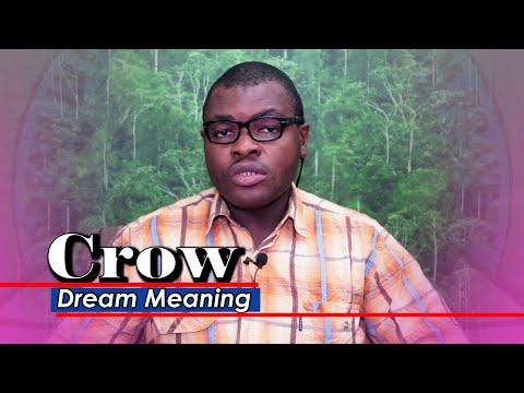 BIBLICAL MEANING OF CROWS IN A DREAM -Evangelist Joshua Dream Dictionary