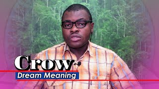 BIBLICAL MEANING OF CROWS IN A DREAM -Evangelist Joshua Dream Dictionary
