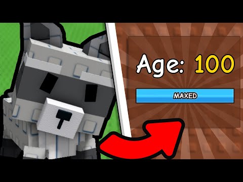 6 Fastest Ways to Level Up Your Pets in Grow a Garden (Age 100 Guide!)