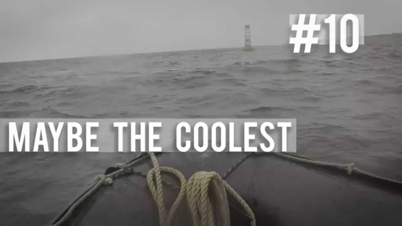 10 Things To Do In Churchill, Manitoba on Hudson Bay, Canada - Summer - Bears and Beluga Whales