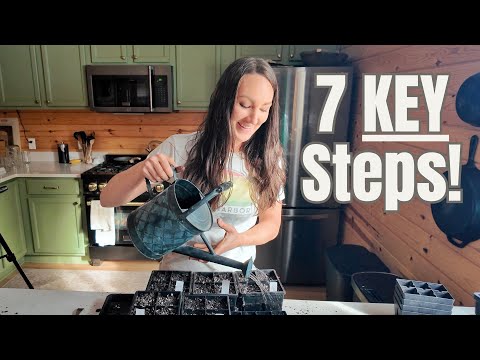 Seed Starting 101 - AVOID These Common Mistakes! | Zone 4A