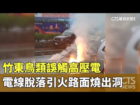 竹東鳥類誤觸高壓電　電線脫落引火路面「燒出洞」