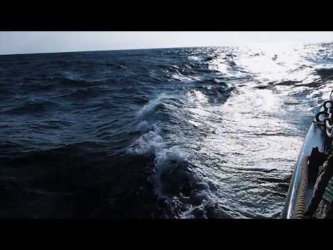 Merirosvojen kosto - Escape Room Lappeenrint