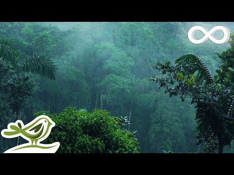 No Worries • 10 Hours of Rain Sounds and Calming Music for Sleeping