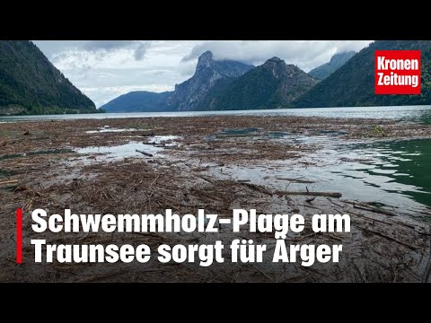 Schwemmholz-Plage am Traunsee sorgt für Ärger | krone.tv NEWS