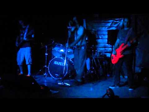 Wild Nights 2014 - A Dozen Dead Furs Concert - Spiders