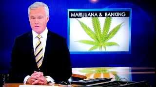 Marijuana & Banking on CBS Evening News