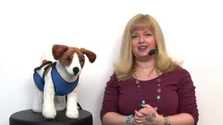 Guardian Gear Lift & Lead 4-In-1 Dog Harness