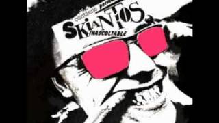 Skiantos - Non Puoi Troncarmi Un Rock (Permanent Flebo Reprise)