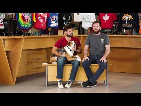 Ann Arbor T-Shirt Company